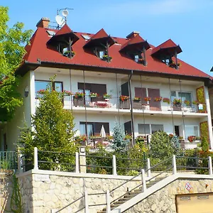 Mohacsi *** Budapest